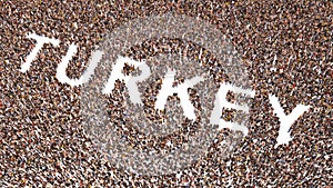 Conceptual large community of people forming the word TURKEY. 3d illustration metaphor for culture, history