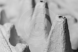 Conceptual photo of container for eggs Package for raw chicken egg. Abstract background. Meal. Food