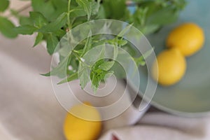 Conceptual photo. Darts on dart board outdoors. Throw darts at the target. The winner, first place. Business target or goal succes