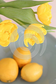 Conceptual photo in Kitchen. Yellow lemons, yellow tulips on the table. Conceptual photo. Interior Photos