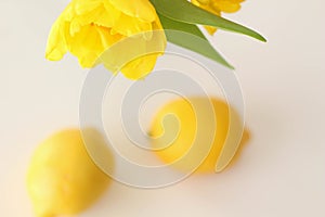 Conceptual photo in Kitchen. Yellow lemons, yellow tulips on the table. Conceptual photo. Interior Photos