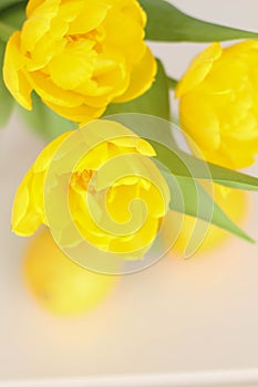 Conceptual photo in Kitchen. Yellow lemons, yellow tulips on the table. Conceptual photo. Interior Photos