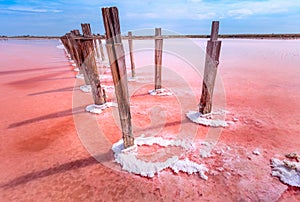 Conceptual photo on a pink salt lake. Minimalistic landscape, Ukraine, nature