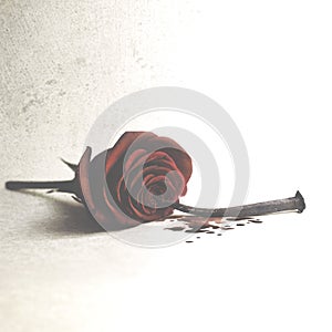 Conceptual photo of a struck and pierced love