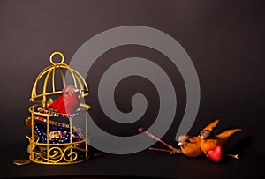 Conceptual photo on the topic - freedom of choice - money and loneliness or love and poverty. bird in a golden cage with coins,