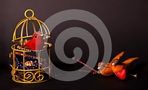 Conceptual photo on the topic - freedom of choice - money and loneliness or love and poverty. bird in a golden cage with coins,