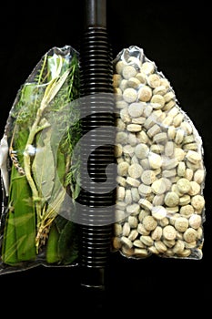 Conceptual photography representing healthy and medicated lungs with green and pills shape of lungs on a black background photo