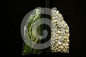 Conceptual photography representing healthy and medicated lungs with green and pills shape of lungs on a black background photo