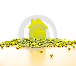 Conceptual picture of a little house