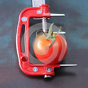 Conceptual still life. Tomato in a red clamp. Offbeat image