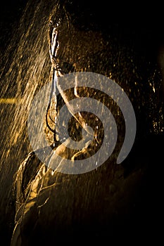 Conceptual view and scene of a young, sensual, beautiful girl, a woman who washes in the shower under a powerful jet of water in