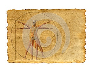 Conceptual vitruvian human body drawing on old paper background