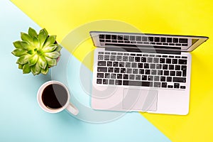 Conceptual workspace or business concept. Laptop computer with plant in a pot and cup of coffee on blue yellow background