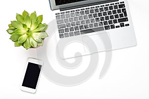 Conceptual workspace or business concept. Laptop computer with plant in a pot and modern cell phone background. Free space for you