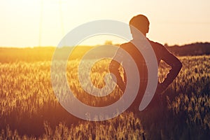 Concerned female agronomist standing in cultivated wheat crops f