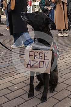 Concerned people and relatives of Azov prisoners took to the streets with posters