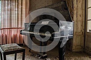 Concert of decay photo
