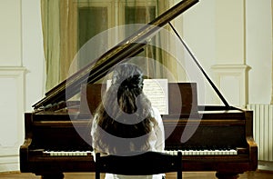 Concert Pianist at the Piano