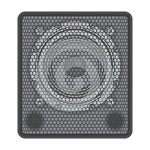 Concert Subwoofer Speaker