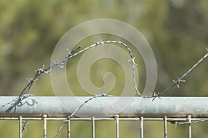 Concertina on iron fence