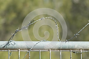 Concertina on iron fence photo