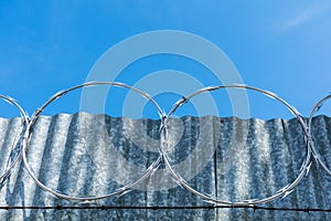 Concertina wire installed atop of metal fence photo