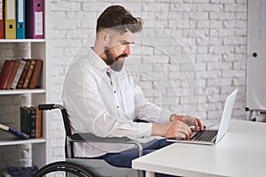 Concetrated office employee sitting on a wheelchair and working on a laptop