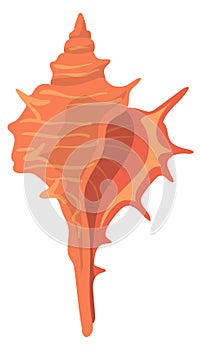 Conch icon. Cartoon seashell. Sea nature fauna