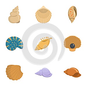 Conch icons set, cartoon style