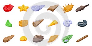 Conch icons set isometric vector. Beach shell