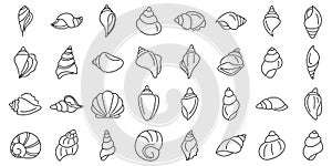 Conch icons set outline vector. Sea shell