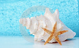 Conch shell starfish on table with aqua background