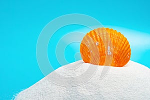 Conch shell on white sand on blue background