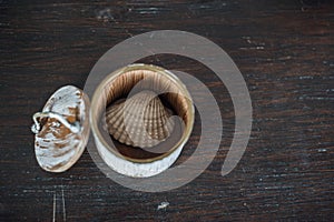 Conch in the small box on the old brown wooden table