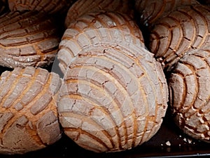 concha pan dulce MÃ©xico sweet bread of Mexico photo