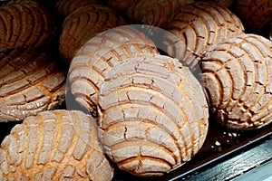 concha pan dulce MÃ©xico sweet bread of Mexico photo