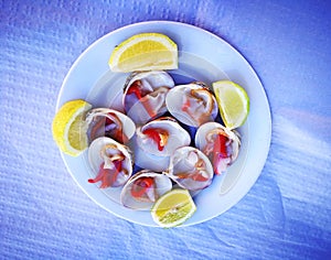Conchas Finas, Thin shells, sea food. photo