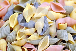 Conchiglie gourmet pasta