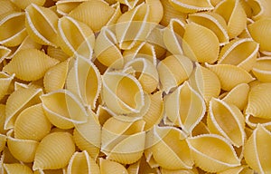 Conchiglie Pasta background