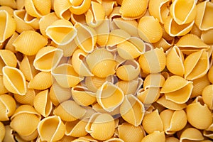 Conchiglie pasta in a pile