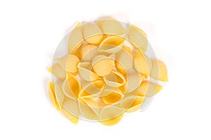Conchiglie pasta shell