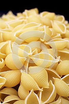 Conchiglie pasta shells