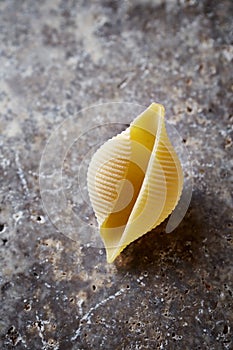 Conchiglie pasta on a stone surface