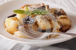 Conchiglie with porcini mushrooms and parmesan close-up. horizon