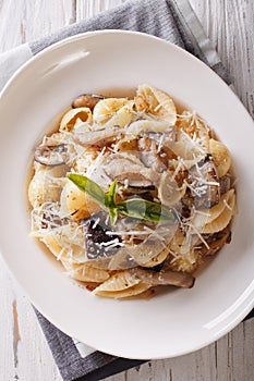 Conchiglie with porcini mushrooms and parmesan close-up. vertica