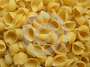 Conchiglie rigate