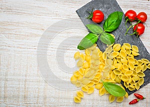 Conchiglie Rigate Pasta and Copy Space