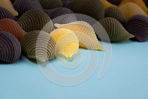 Conchiglie Rigate pasta shells closeup.