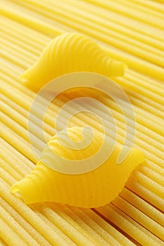 Conchiglie and spaghetti, italian pasta