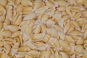 Conchiglione pasta as a texture background